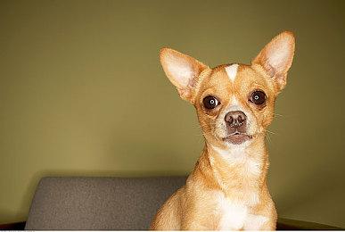 PS商店独占！科乐美推出《寂静岭》最新两部捆绑包